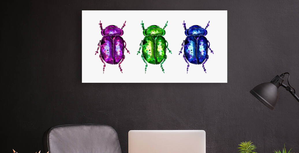 Three colorful Bugs by Sebastian Grafmann