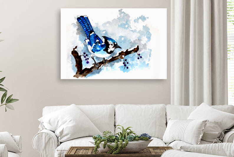 Blue Jay Winter by Sebastian Grafmann