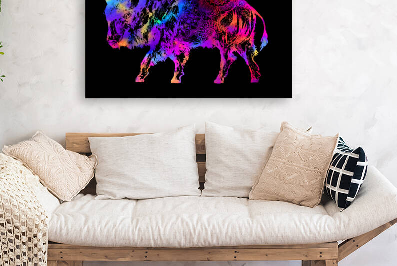 Rainbow Buffalo by Sebastian Grafmann