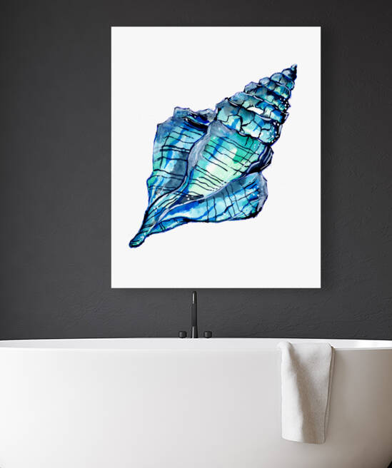 Blue Conch Sea Shell by Sebastian Grafmann