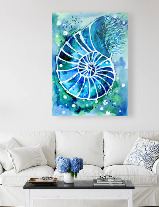 Turquoise Nautilus by Sebastian Grafmann