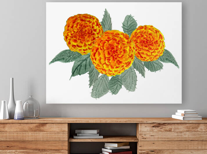 Orange Hydrangeas by Sebastian Grafmann