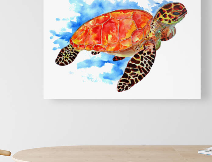 Red Sea Turtle by Sebastian Grafmann
