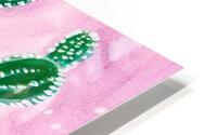 Summer Cactus HD Metal print