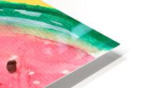 Watermelon Fruit Slice HD Metal print