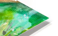 Kiwi Fruit Slice HD Metal print