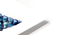 Blue Conch Sea Shell HD Metal print