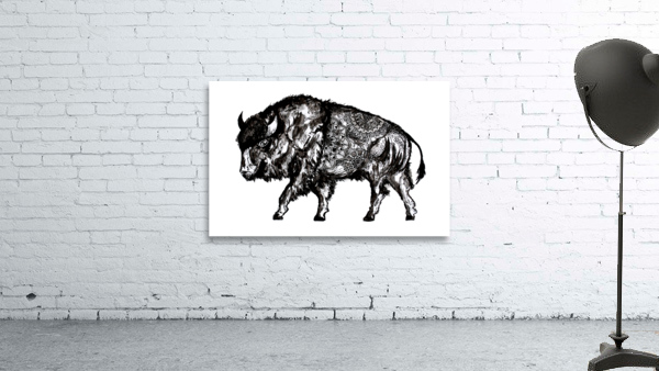 Mandala Buffalo Wall Preview
