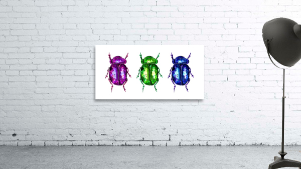 Three colorful Bugs Wall Preview