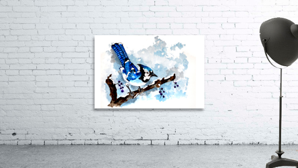 Blue Jay Winter Wall Preview