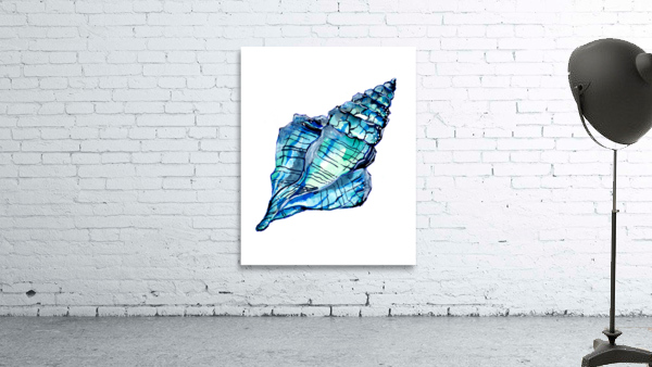 Blue Conch Sea Shell Wall Preview