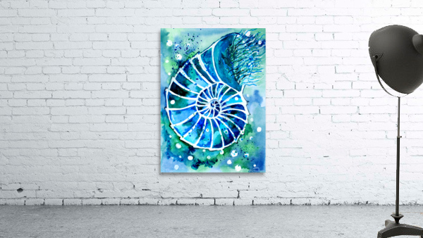 Turquoise Nautilus Wall Preview