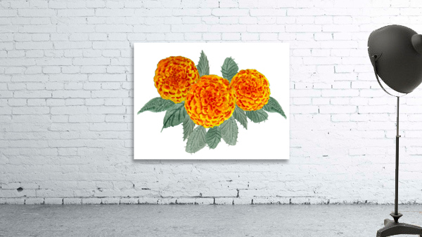 Orange Hydrangeas Wall Preview