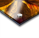 Embrace Your Fairy Muse quote  Piano Music Dragonfly Wall Art by Nazan Saatci Art Impression Acrylique