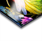 Dragonfly  on a waterlily pad  wall art by Nazan Saatci art Impression Acrylique