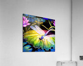 Dragonfly  on a waterlily pad  wall art by Nazan Saatci art Impression acrylique