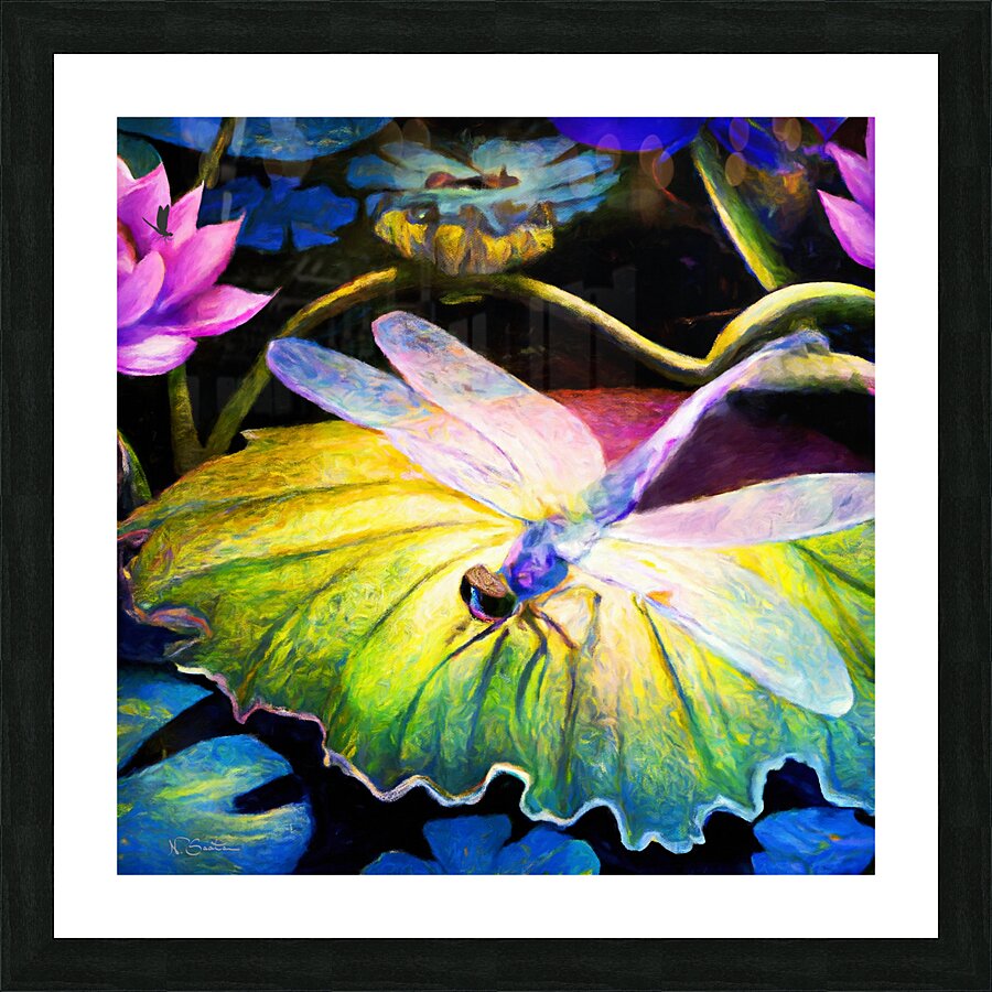 Dragonfly  on a waterlily pad  wall art by Nazan Saatci art Impression et Cadre photo