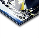 Happy Feet 00:11:06 Acrylic print