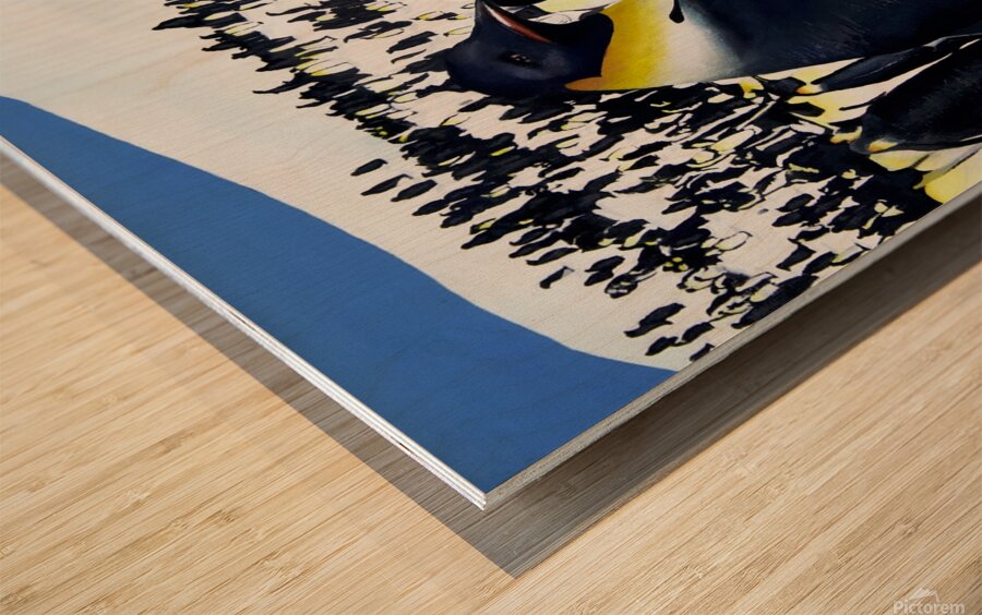 Happy Feet 00:11:06 Wood print