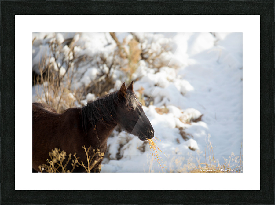G56A7812 Picture Frame print