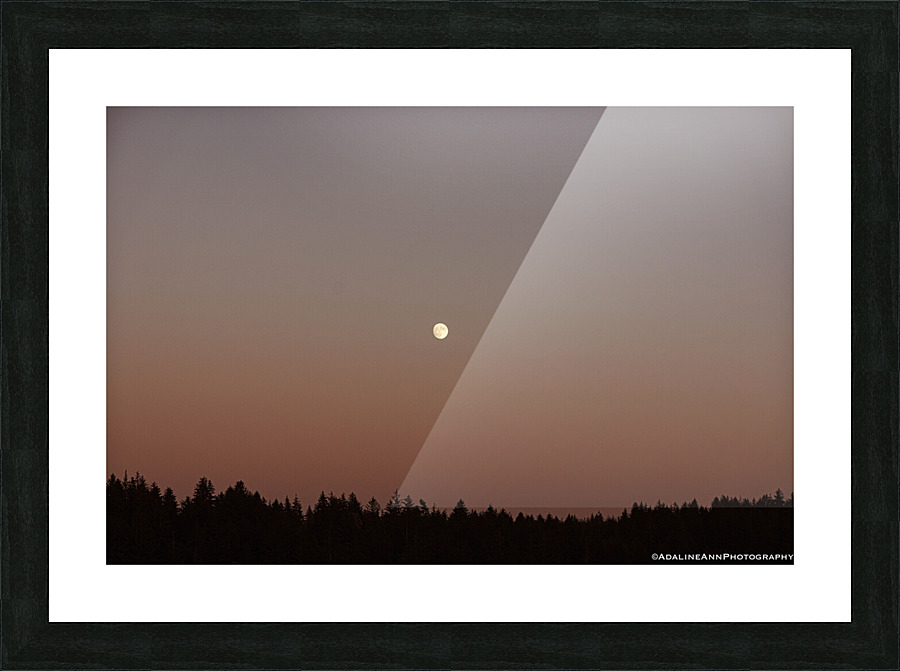 G56A5350 Picture Frame print