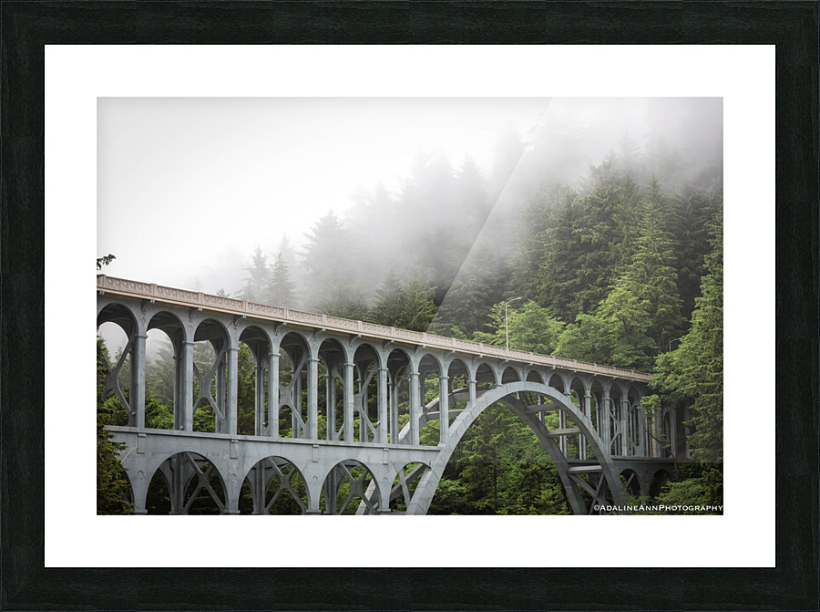 G56A5380 Picture Frame print