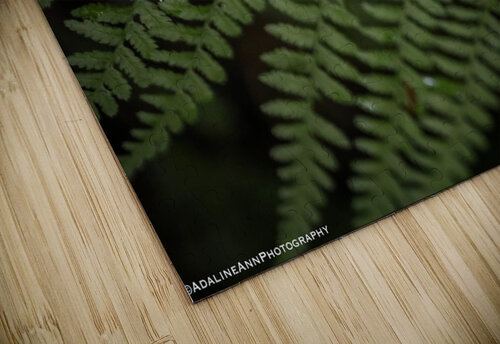 G56A5629 Adaline Ann Photography puzzle