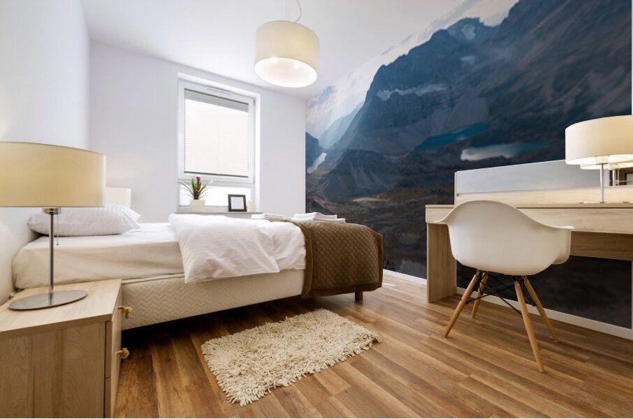 Smokey Skoki Mural print