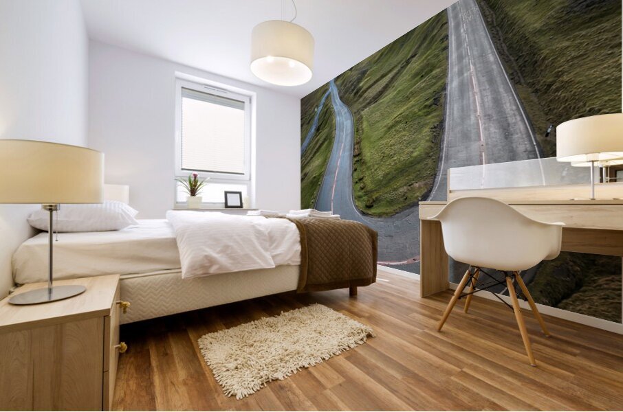 Aerial view of Cuckoo Bend Mural print