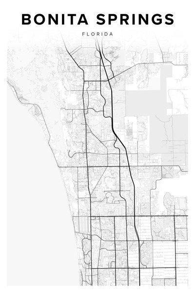 BonitaSprings portrait 2 3 Digital Download