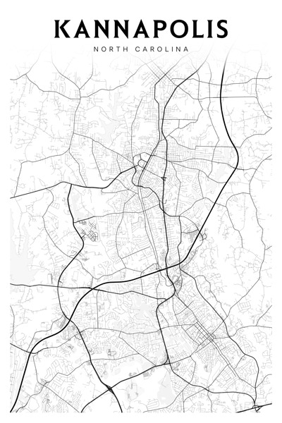 Kannapolis portrait 2 3 Digital Download