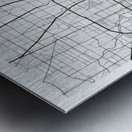 Houston portrait A Series Metal print