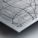 Dallas portrait A Series Metal print