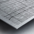 Phoenix portrait A Series Metal print