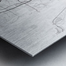 BonitaSprings portrait A Series Metal print