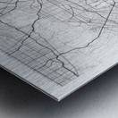 LosAngeles portrait A Series Metal print