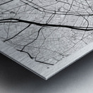 Paris portrait A Series Metal print