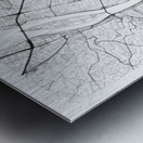 Budapest portrait A Series Metal print