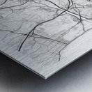 SanDiego portrait A Series Metal print