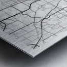 Orlando portrait A Series Metal print