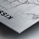 Kissimmee portrait 2 3 Metal print