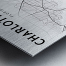 CharlotteHarbor portrait 2 3 Metal print