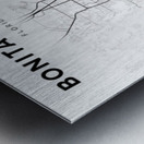 BonitaSprings portrait 2 3 Metal print