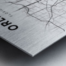 Orlando portrait 2 3 Metal print