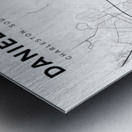 DanielIsland portrait 2 3 Metal print