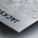 Jacksonville portrait 2 3 Metal print