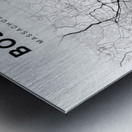 Boston portrait 2 3 Metal print