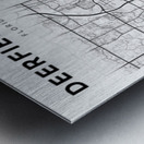 DeerfieldBeach portrait 2 3 Metal print