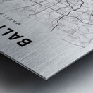 Baltimore portrait 2 3 Metal print