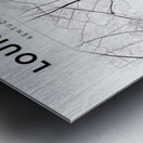 Louisville portrait 2 3 Metal print